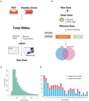 Differential expression pattern, bioinformatics analysis, and validation of circRNA and mRNA in patients with arteriosclerosis